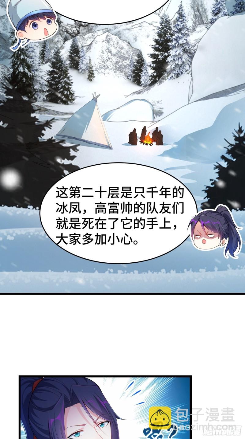 雪原冰凤11