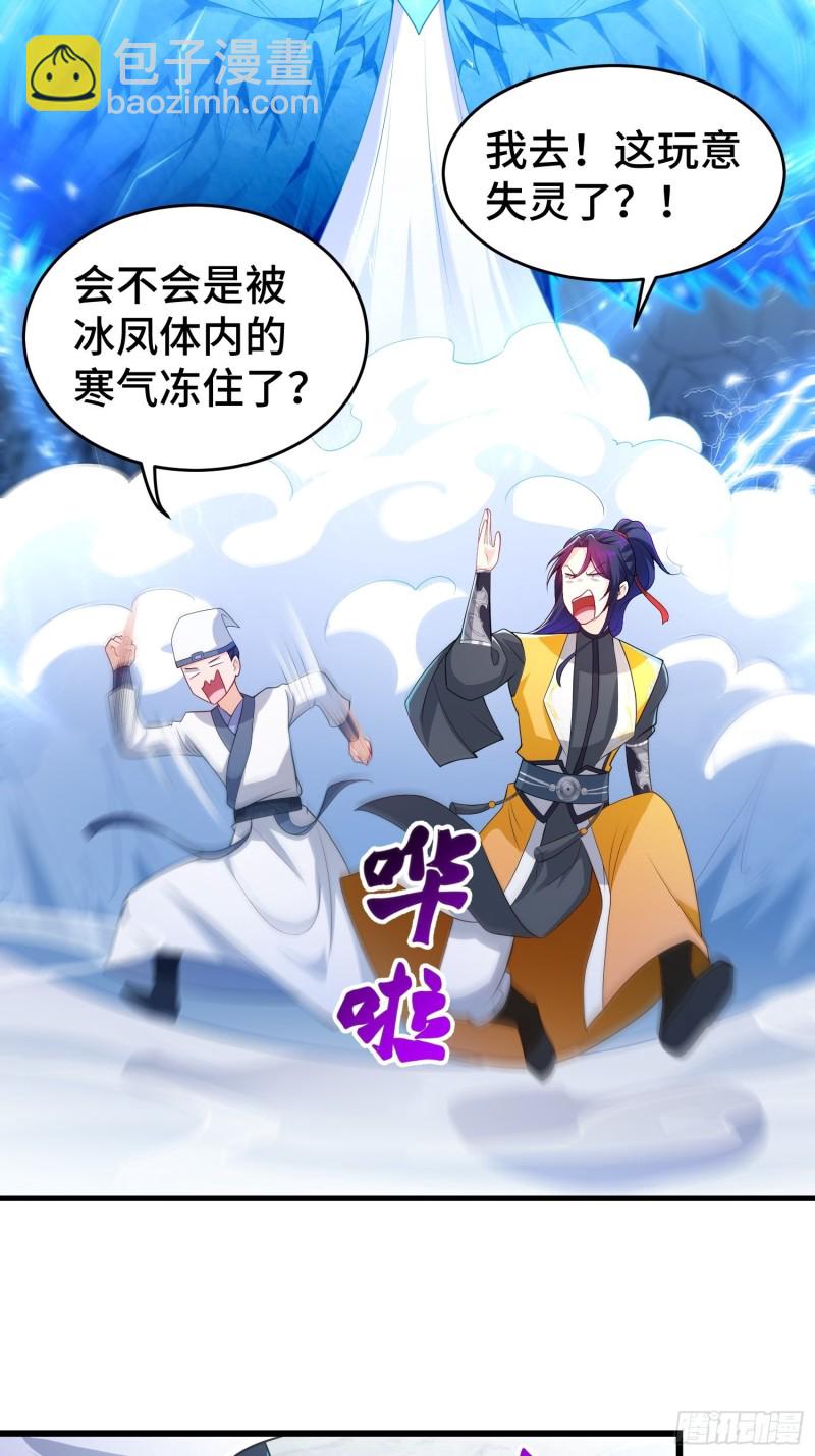 雪原冰凤19