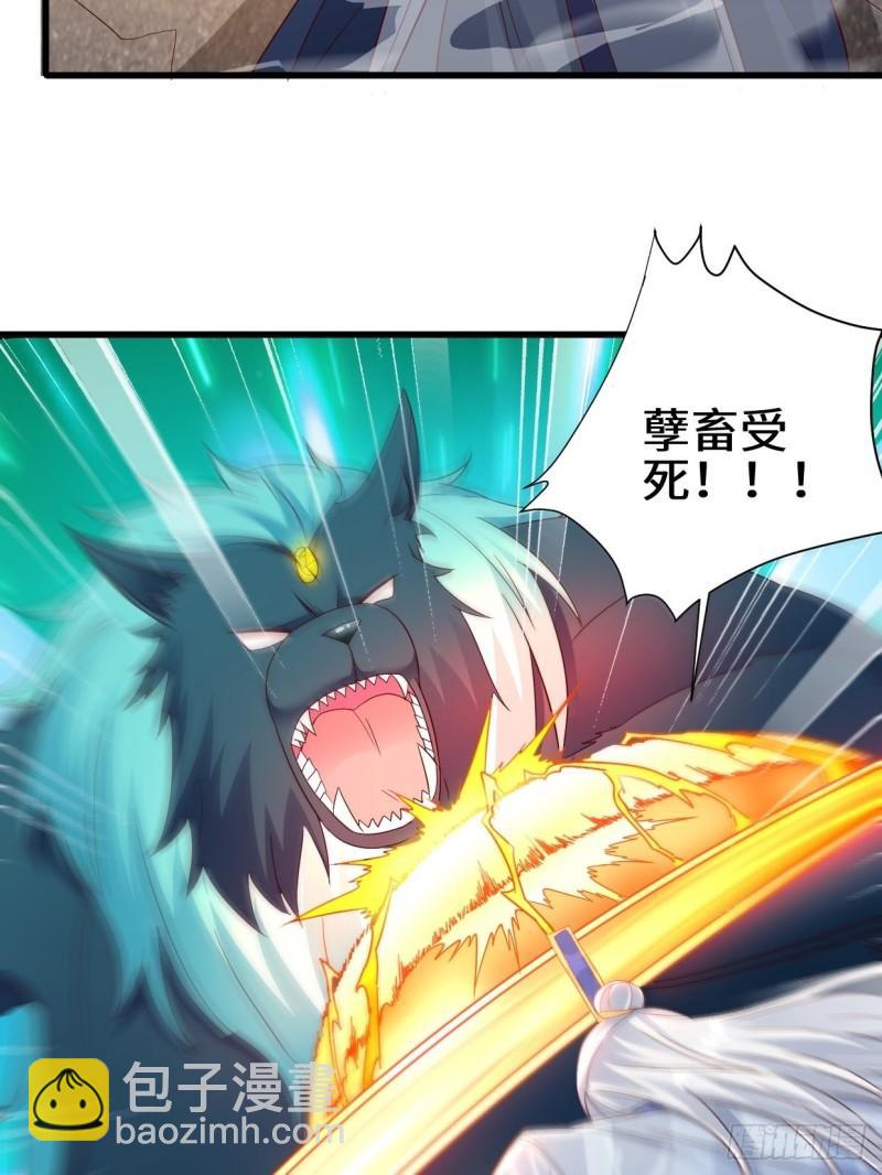撤军回金17