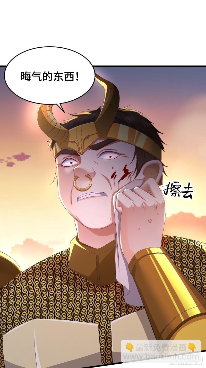 视死如归31