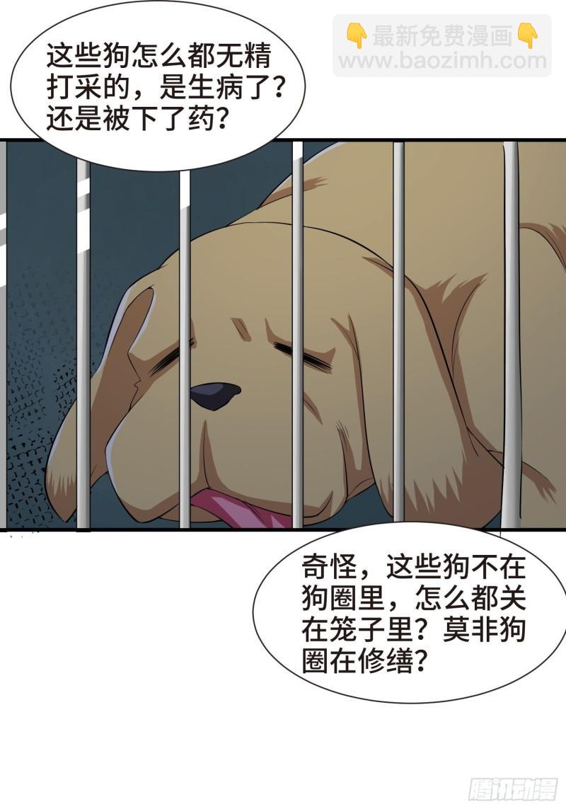 结实的胸肌18