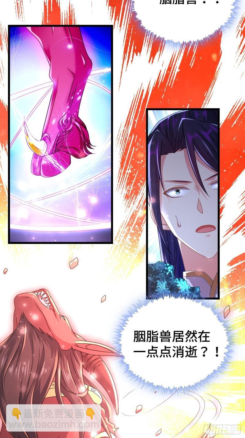 小白死了？4