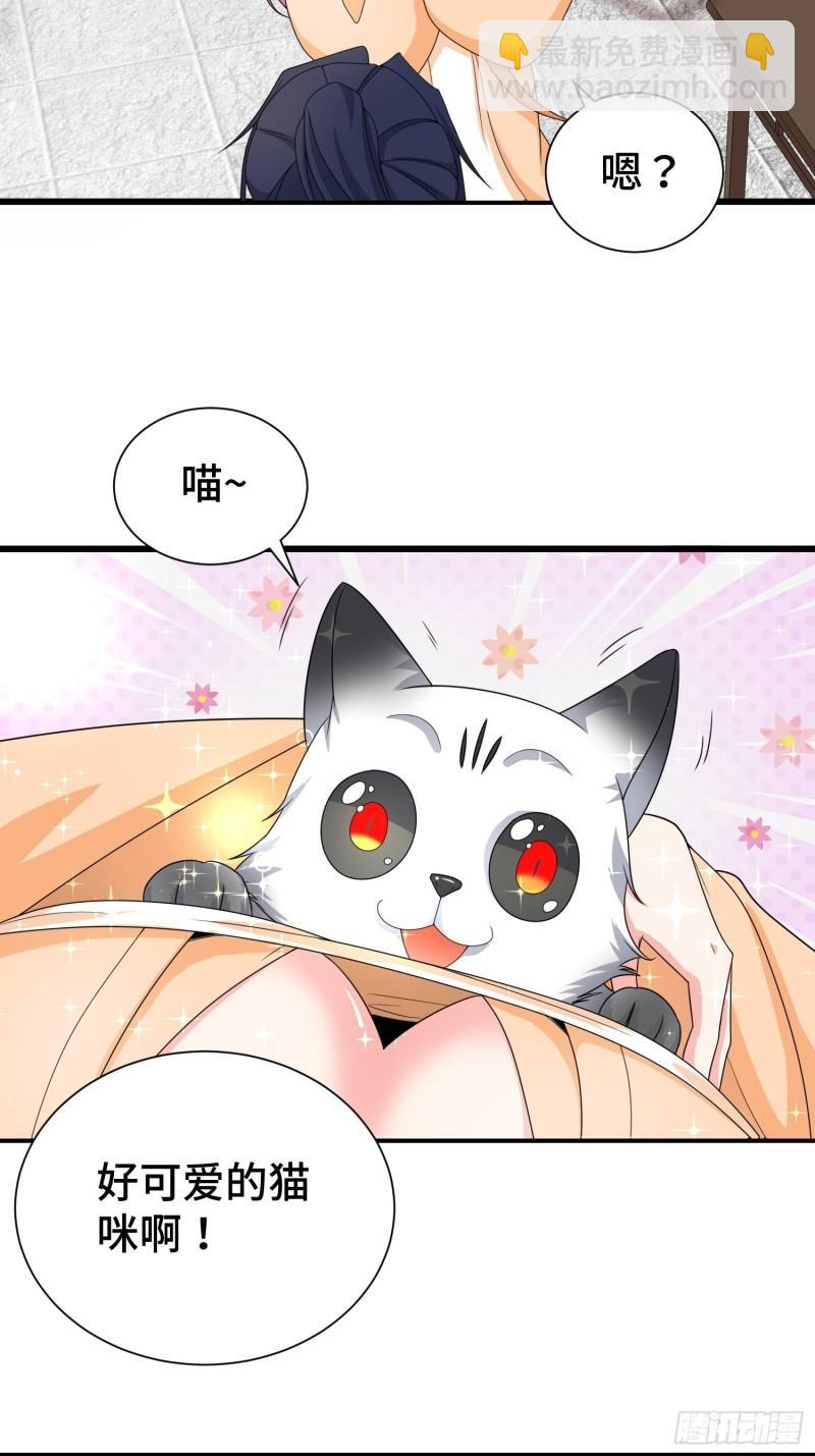 刺杀来袭12