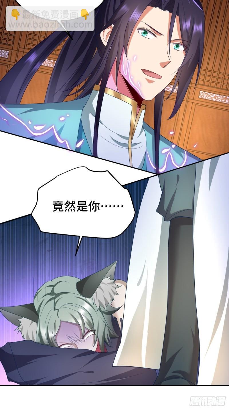 狸猫换太子23