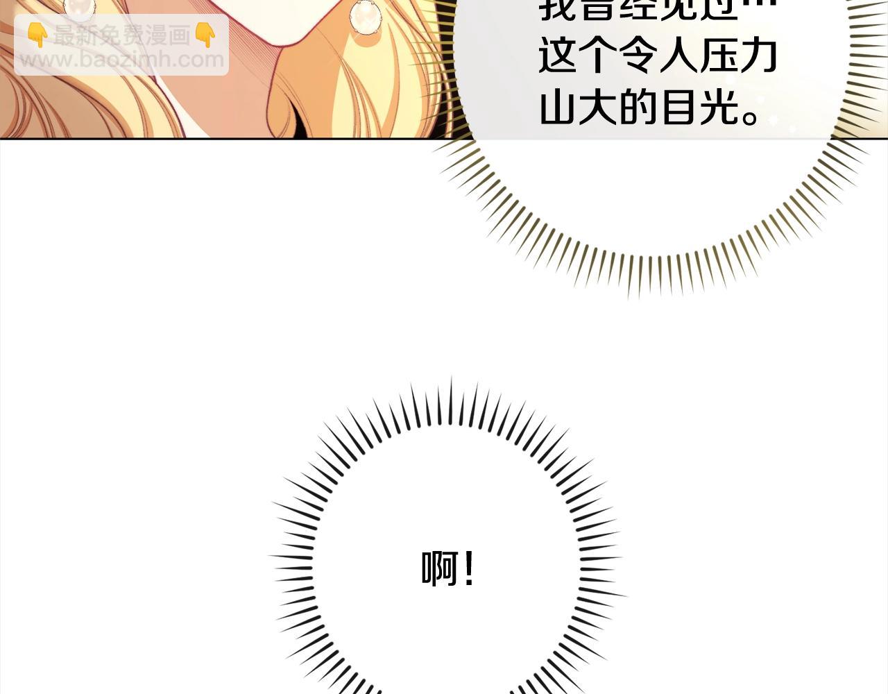 第99话 “那个计划”205