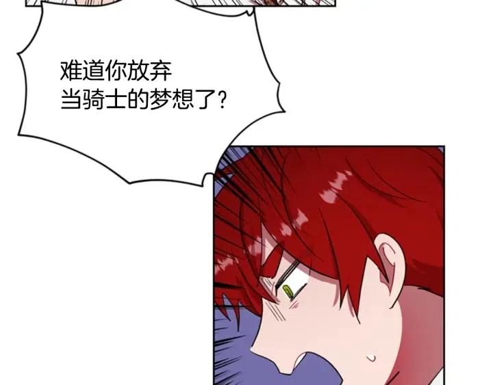 第39话 骑士梦想18