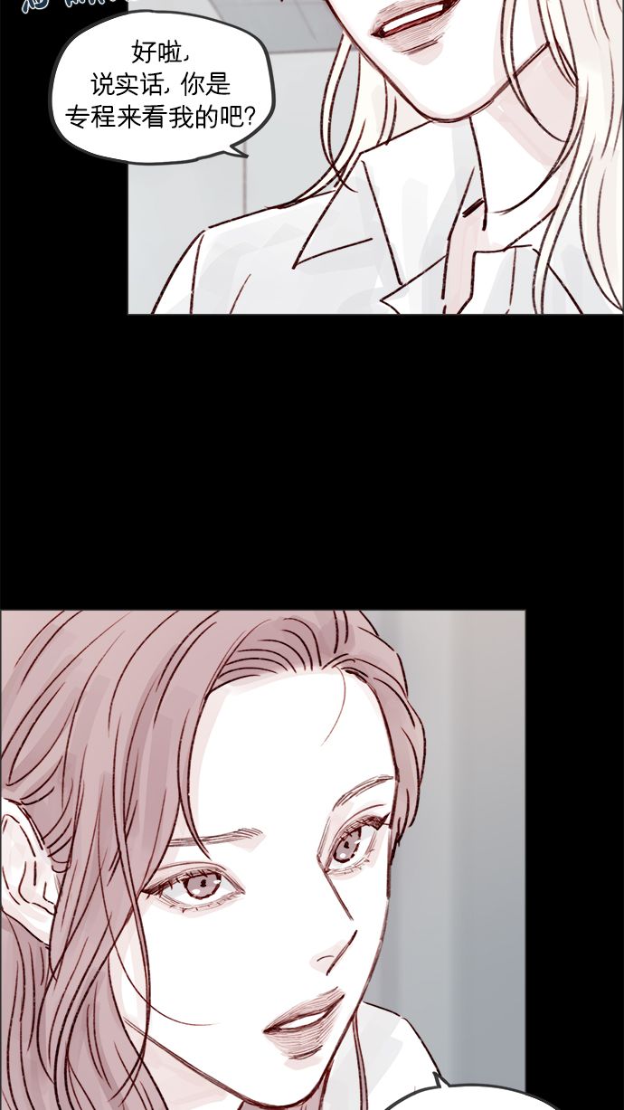 [第224话] 好啦，说实话41