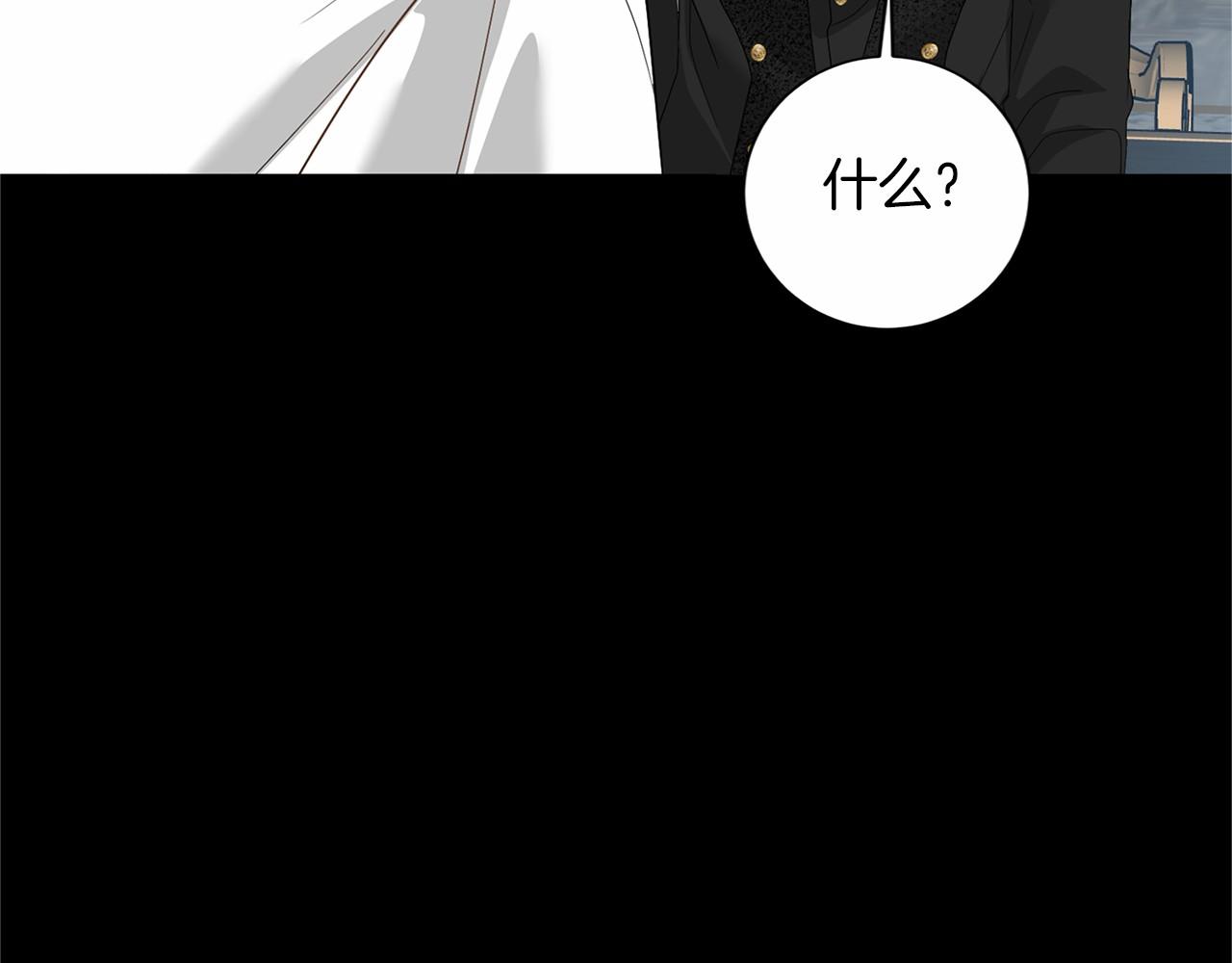 第125话 标准贵族小姐17
