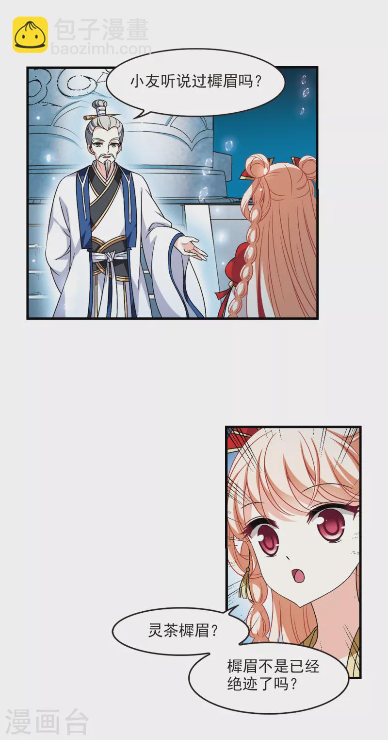第2季96话 阵法师的遗愿315