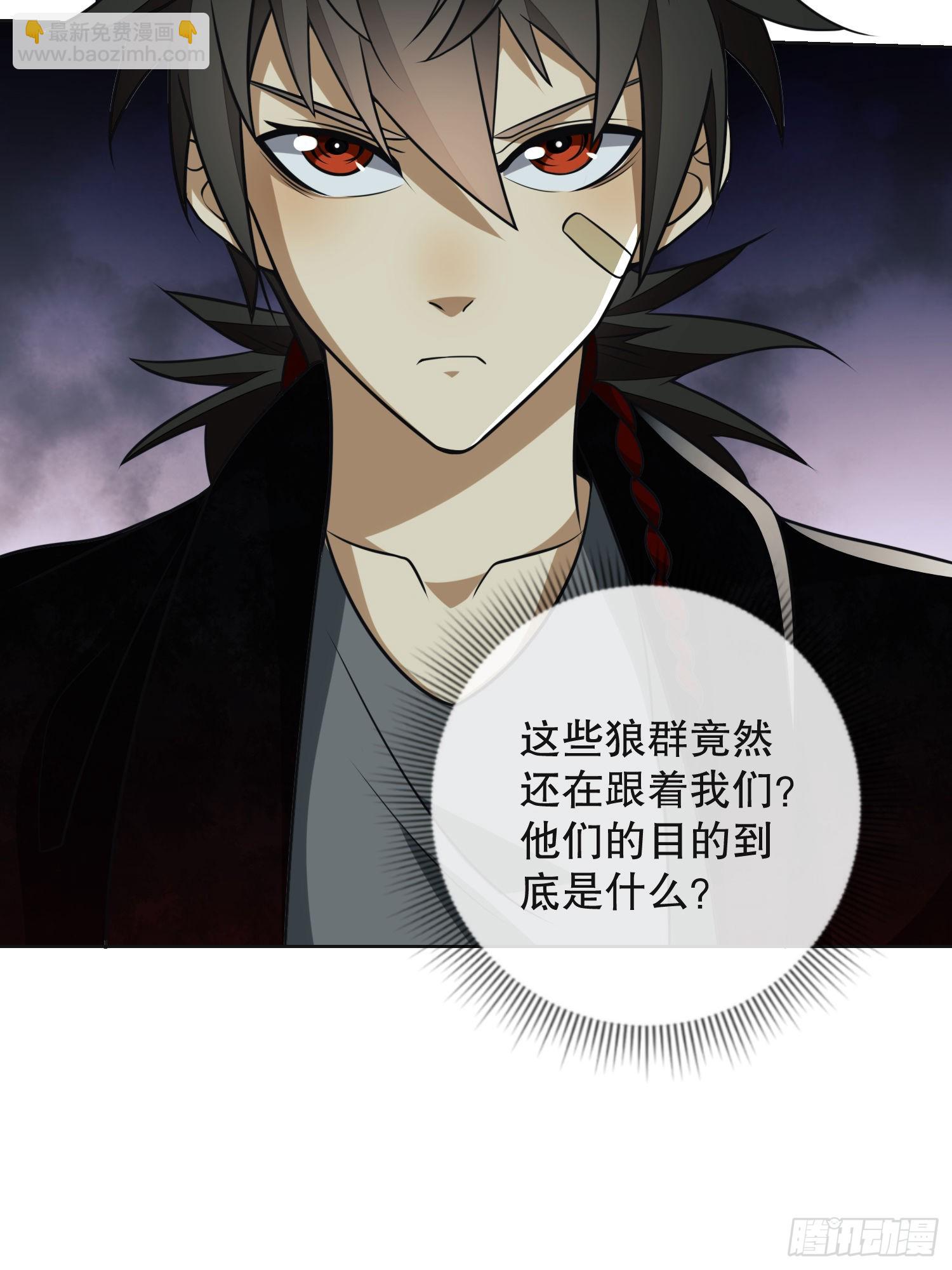 96 狼王的善意33