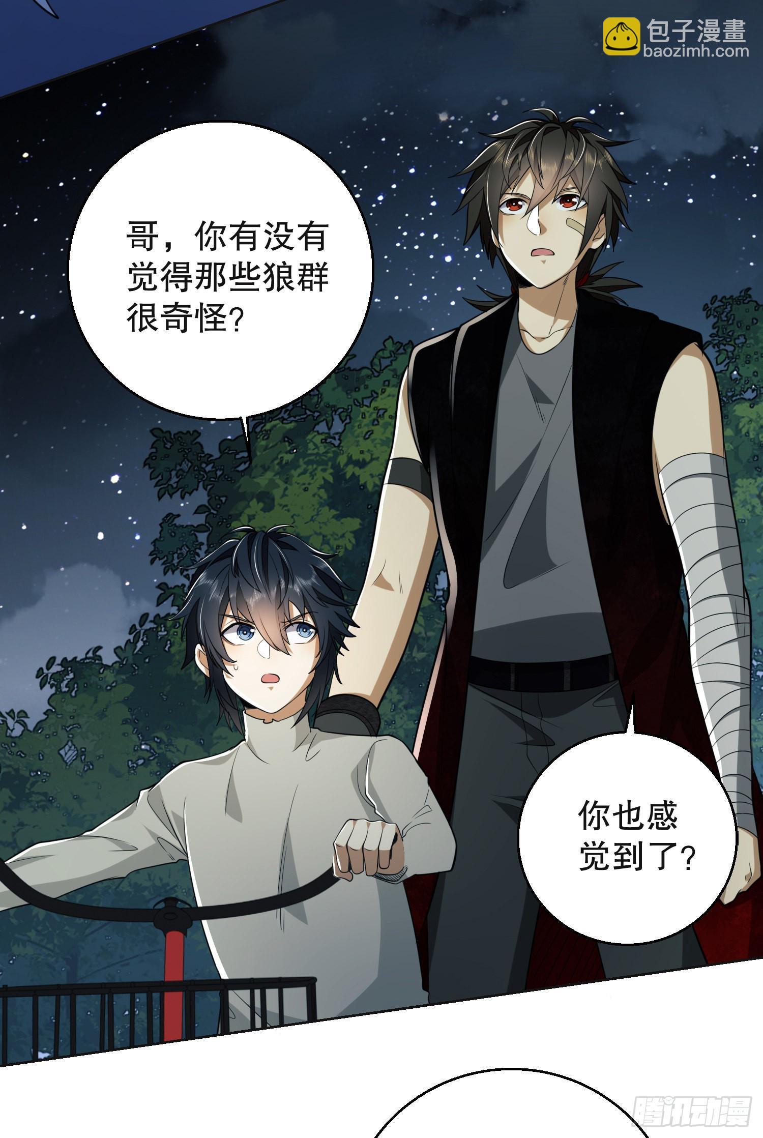 96 狼王的善意72