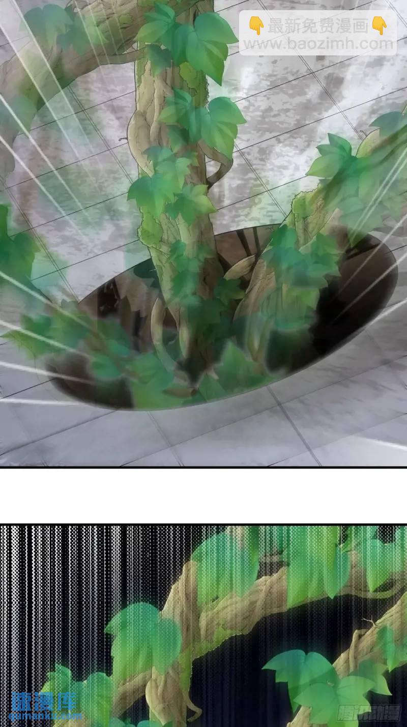 319 吃人爬山虎60