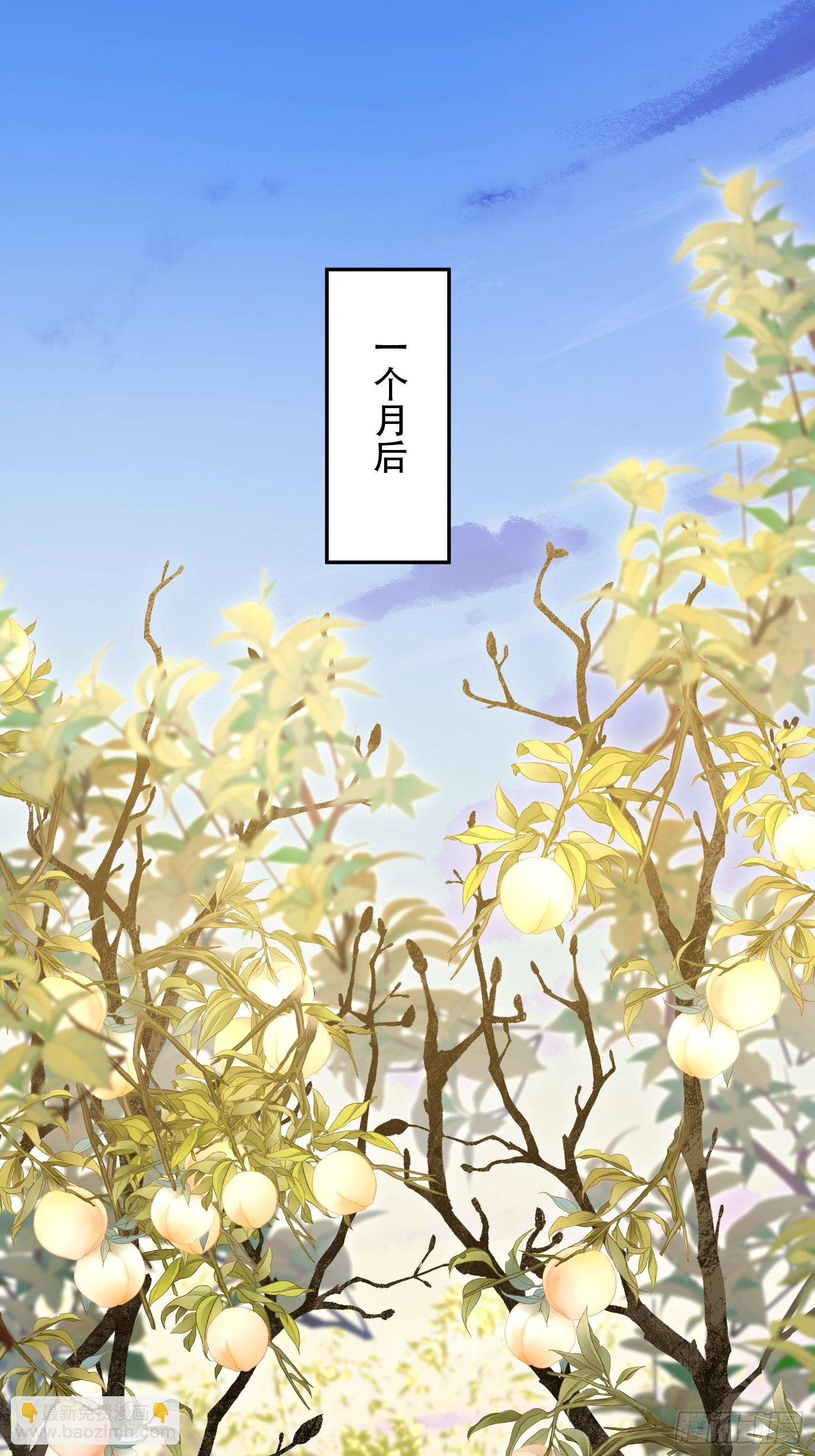 552 摆摊43