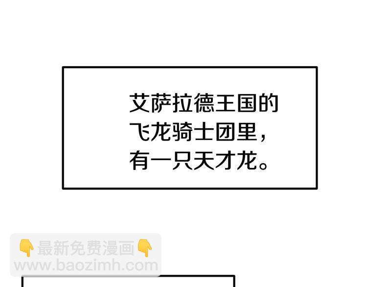 第4话 飞龙中的奇葩79