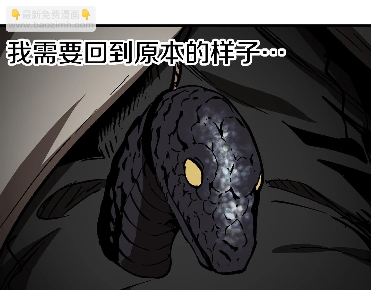 第164话 死去的幻象龙224