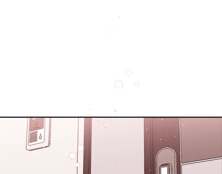 第13话 生日礼物55