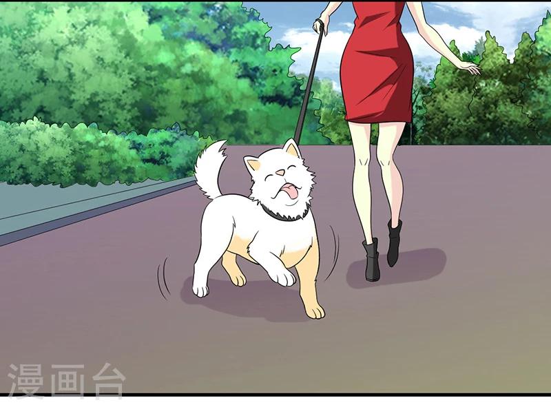 第229话 扛雷2