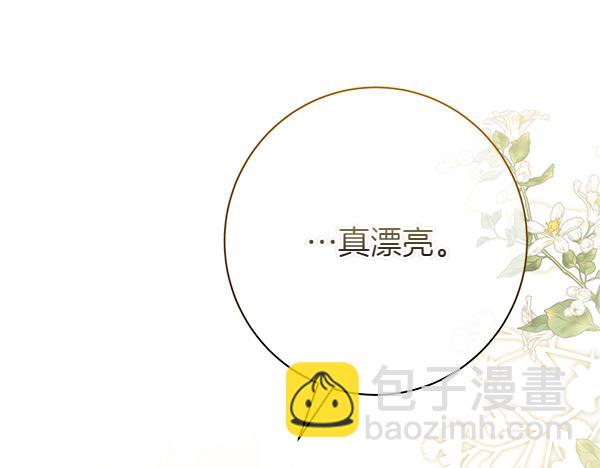 完结篇 终成眷属28