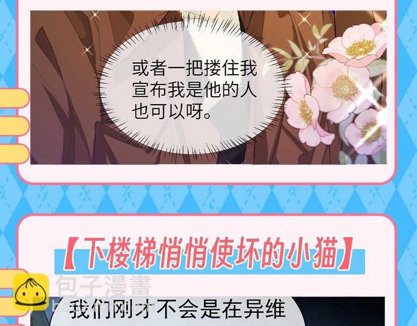 第121期 搞点事：抓猫猫腹黑现行！（日更中）11