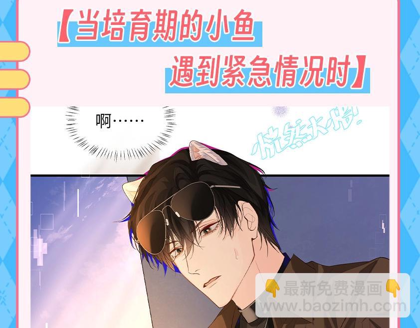 第121期 搞点事：抓猫猫腹黑现行！（日更中）2