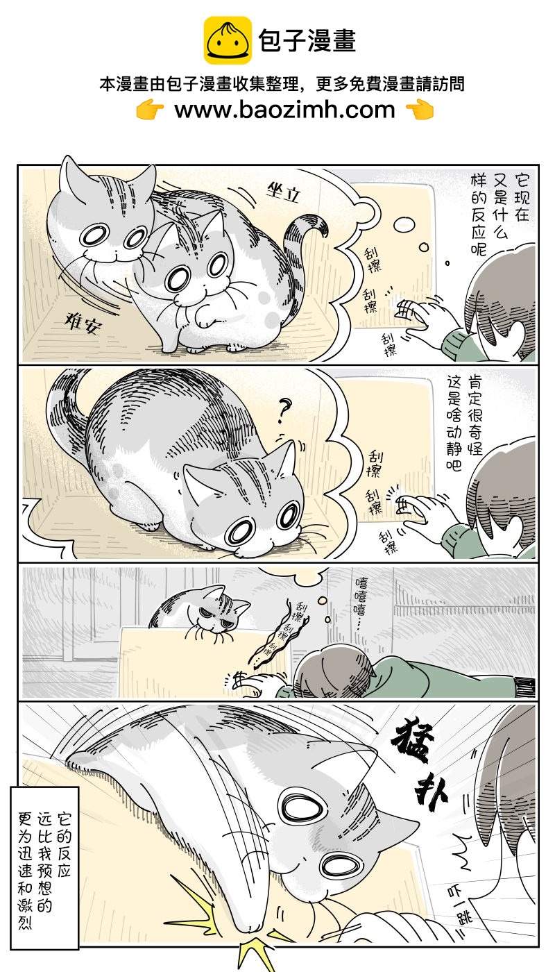 第100话1
