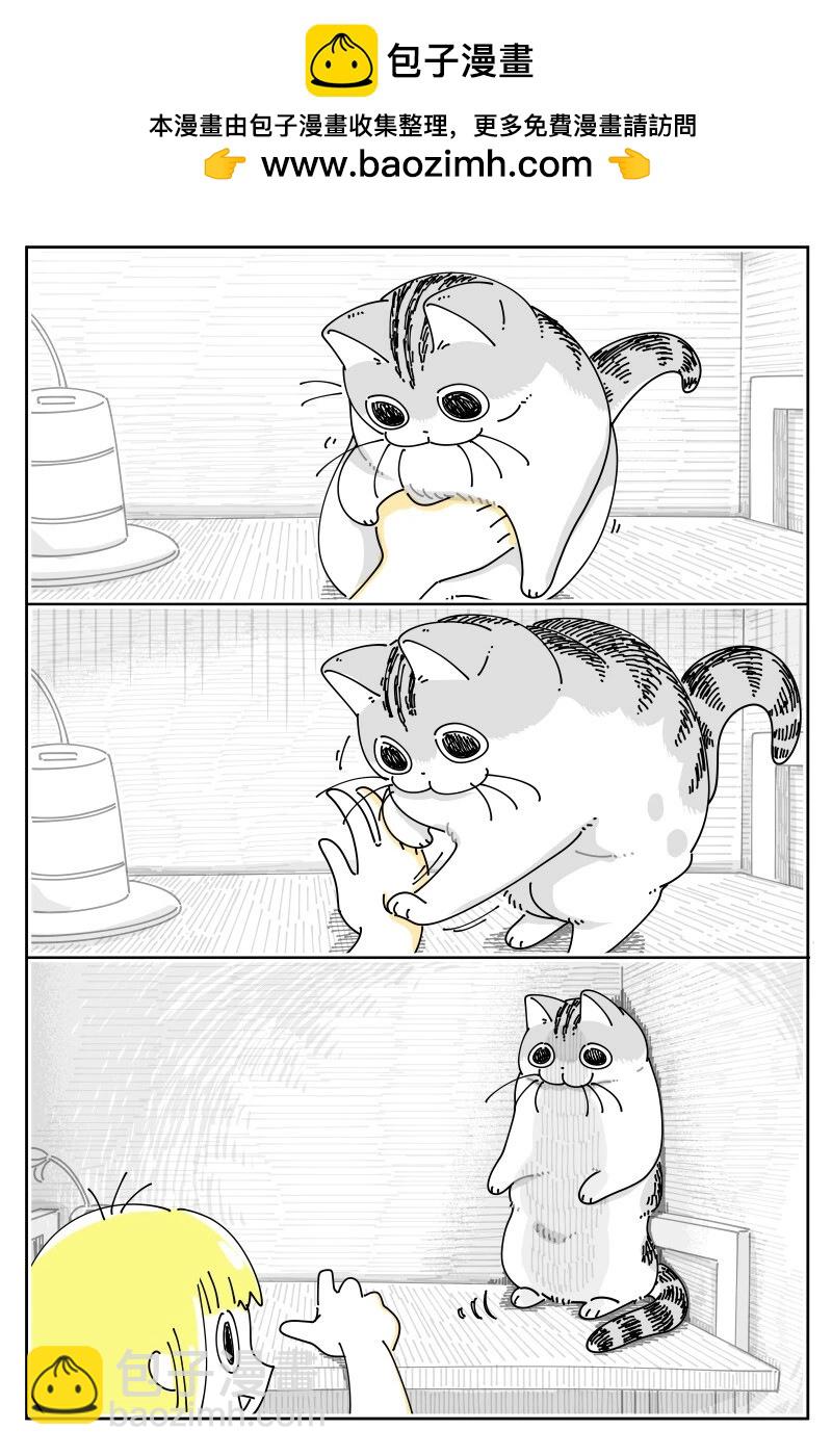 第190话1