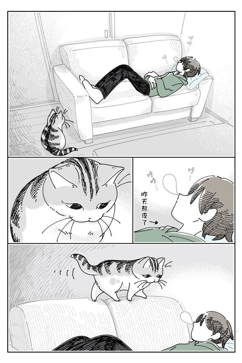 第203话0