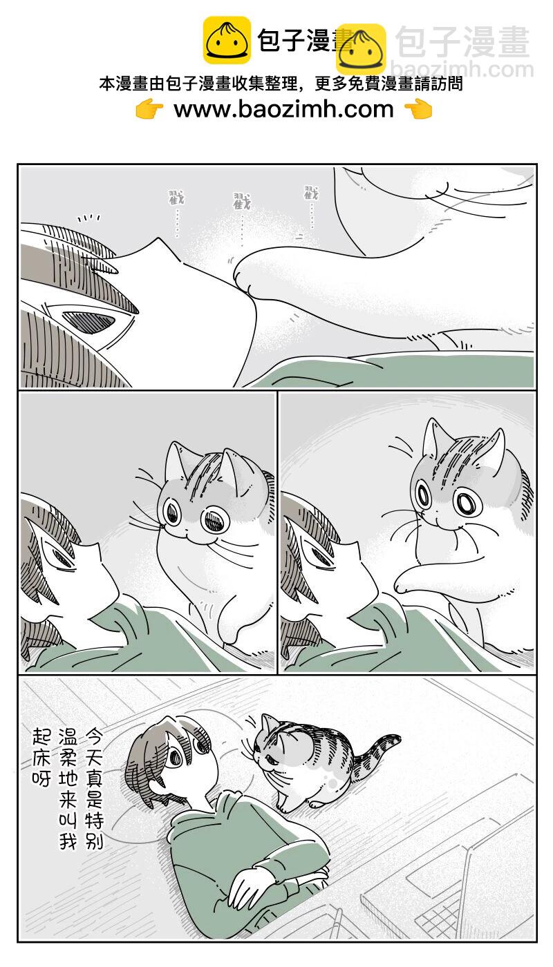 第204话1