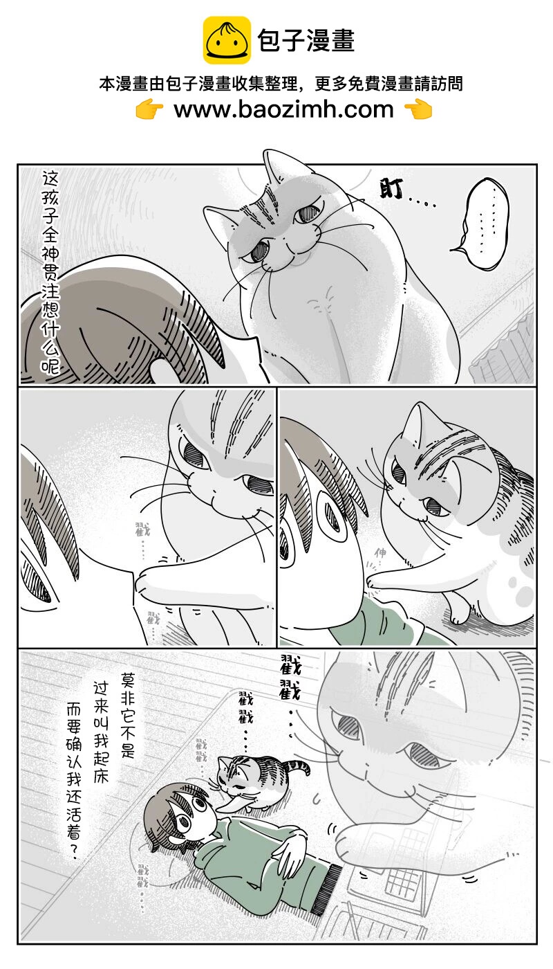 第204话2