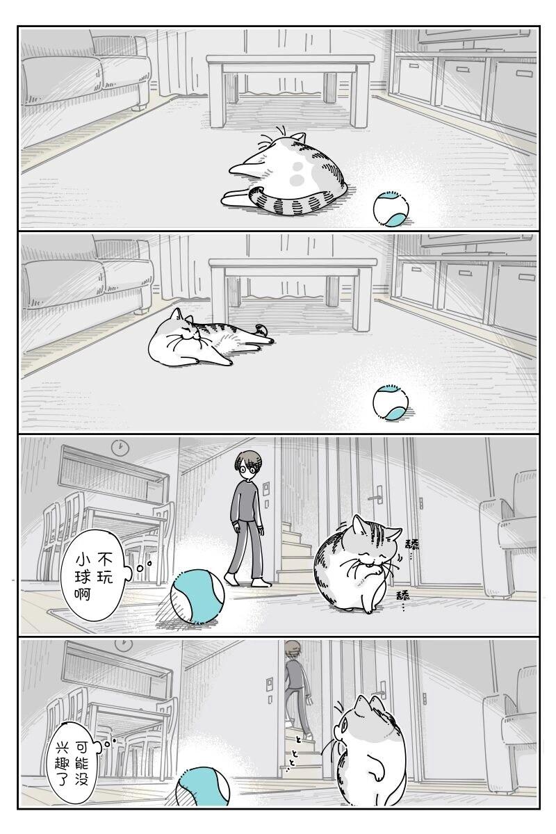 第209话0