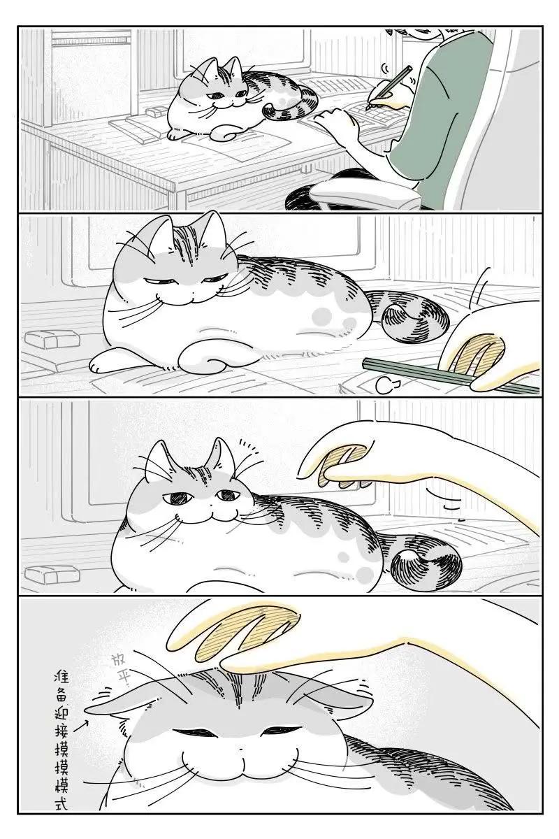 第222话0