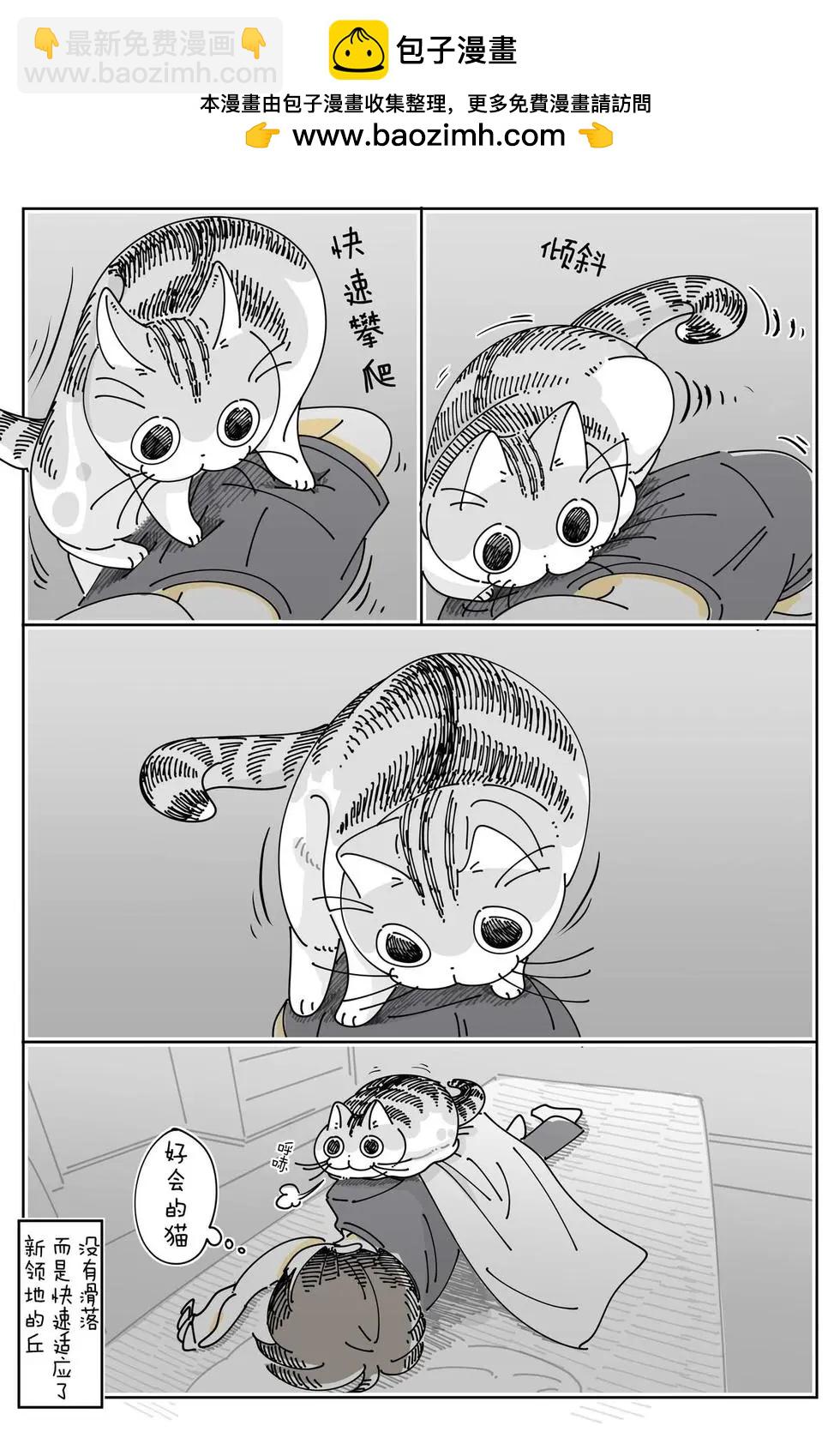 第226话2