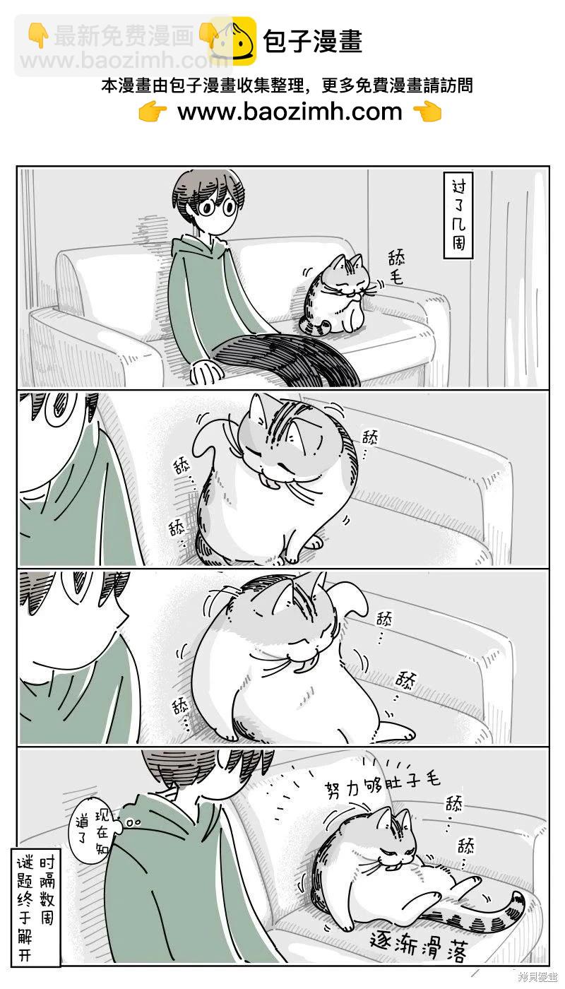 第243话2