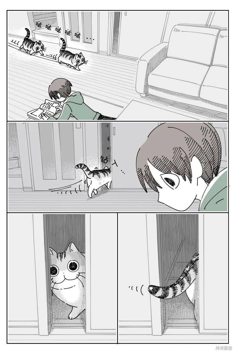 第247话0