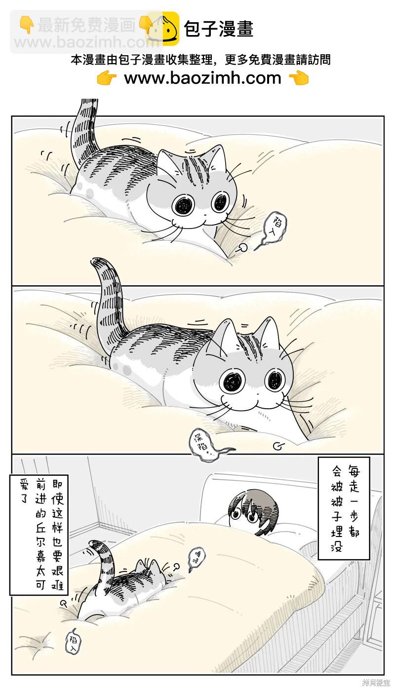 第248话1