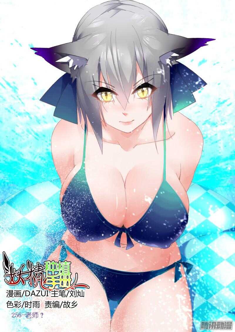256-老师？0