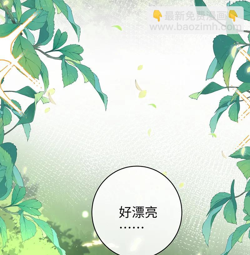 [第88话] 灵魂之花3