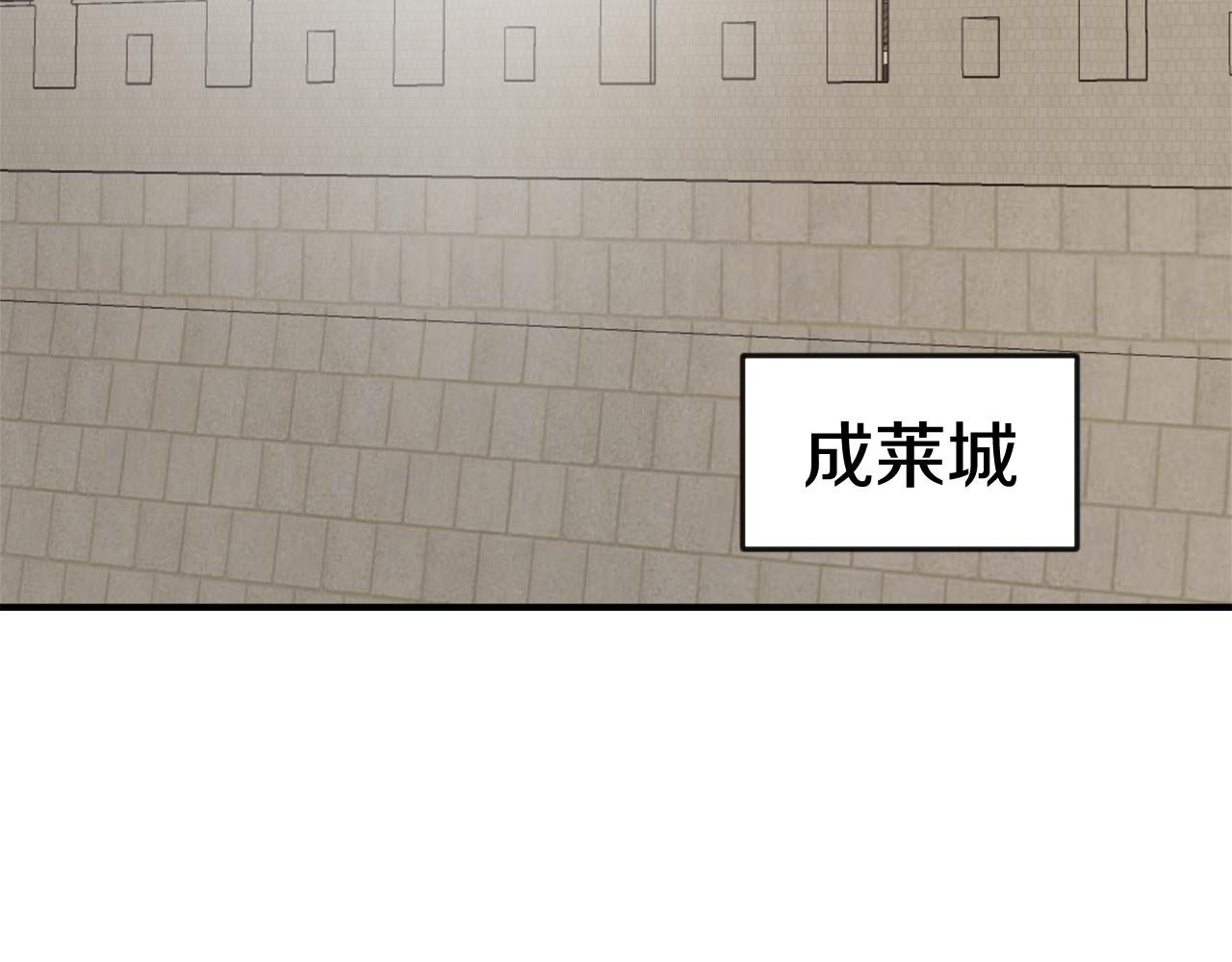 第96话 成亲117