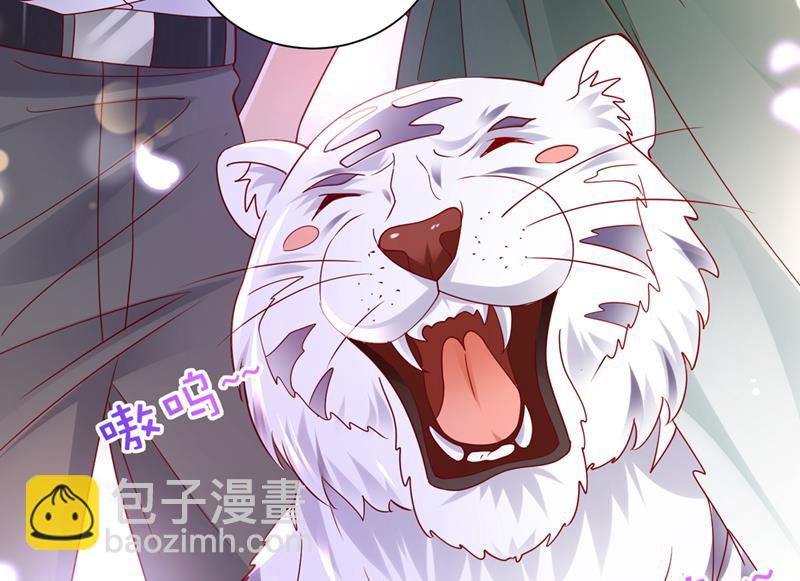 和我一起养大猫吧？70