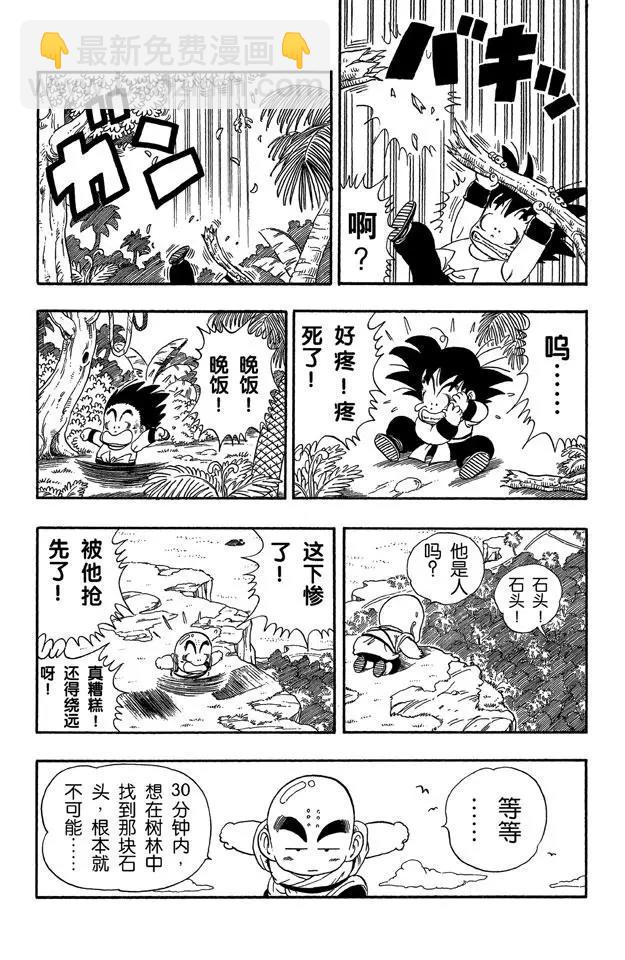 第29话 寻找龟字标记的石头6