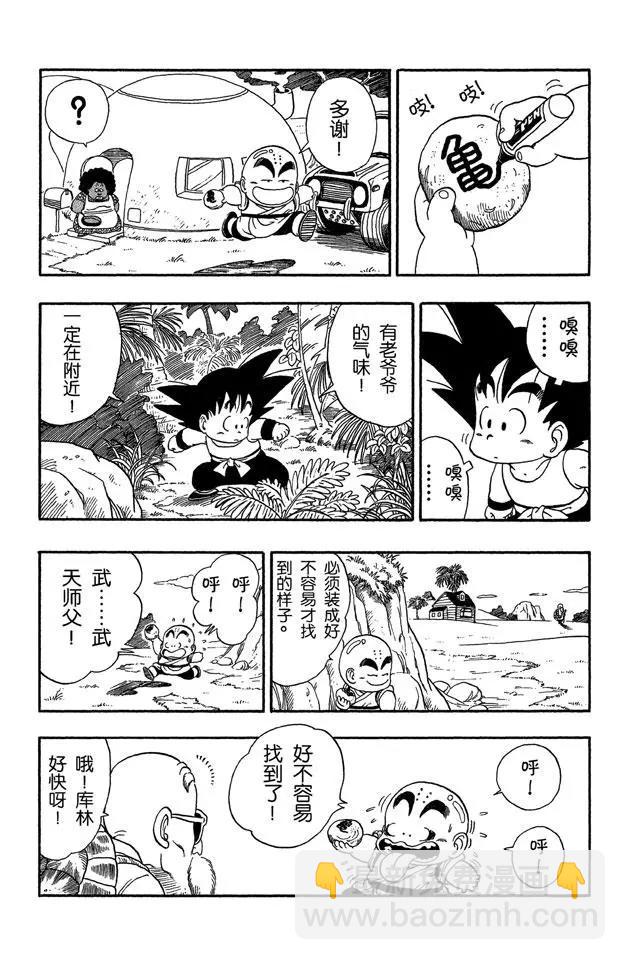 第29话 寻找龟字标记的石头8