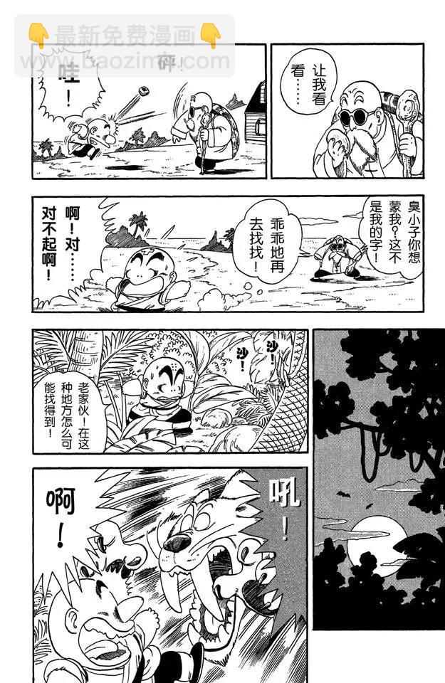 第29话 寻找龟字标记的石头9