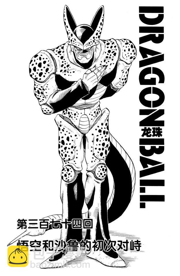 第374话 悟空和沙鲁的初次对峙6