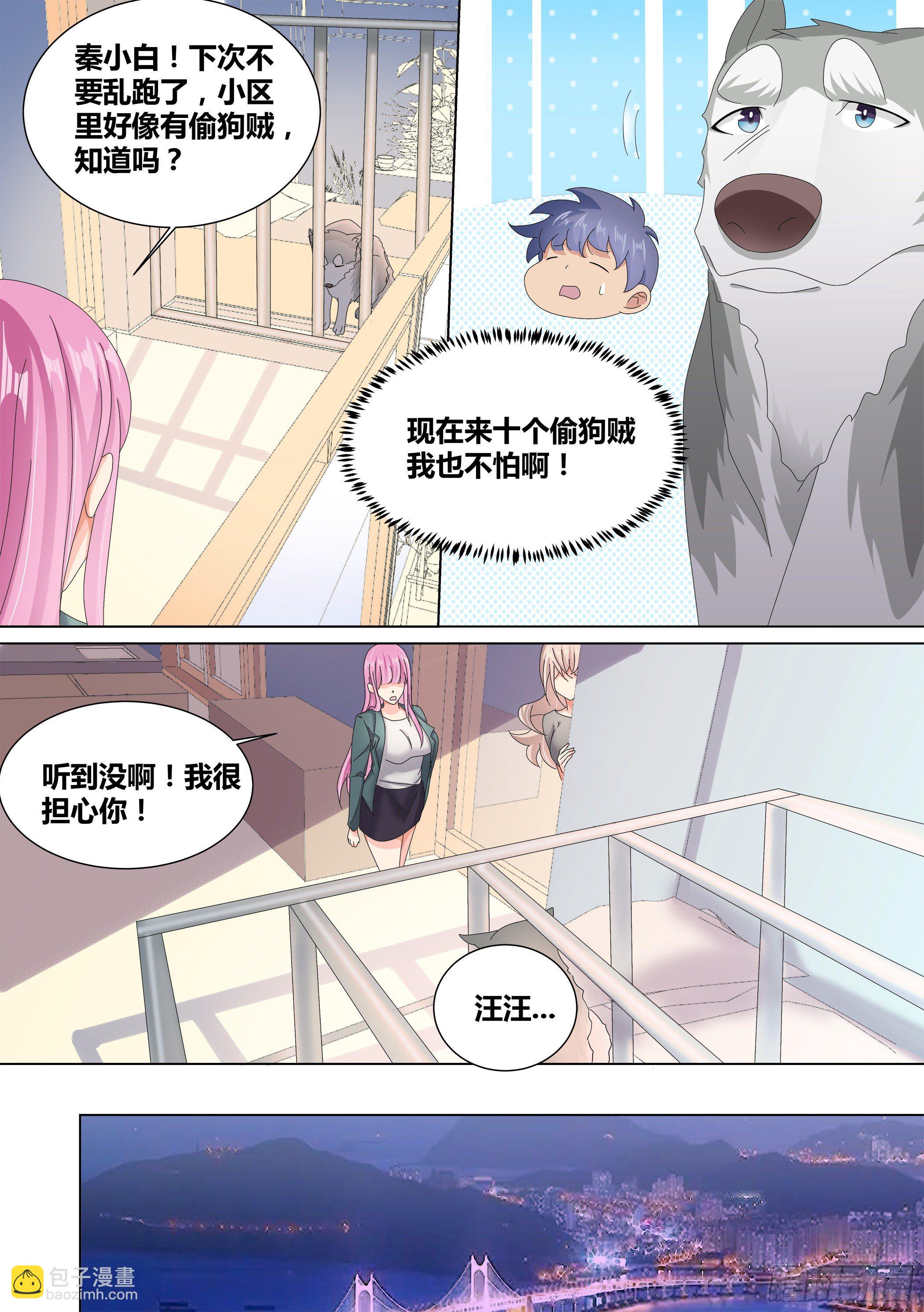 10-无敌狗皇11
