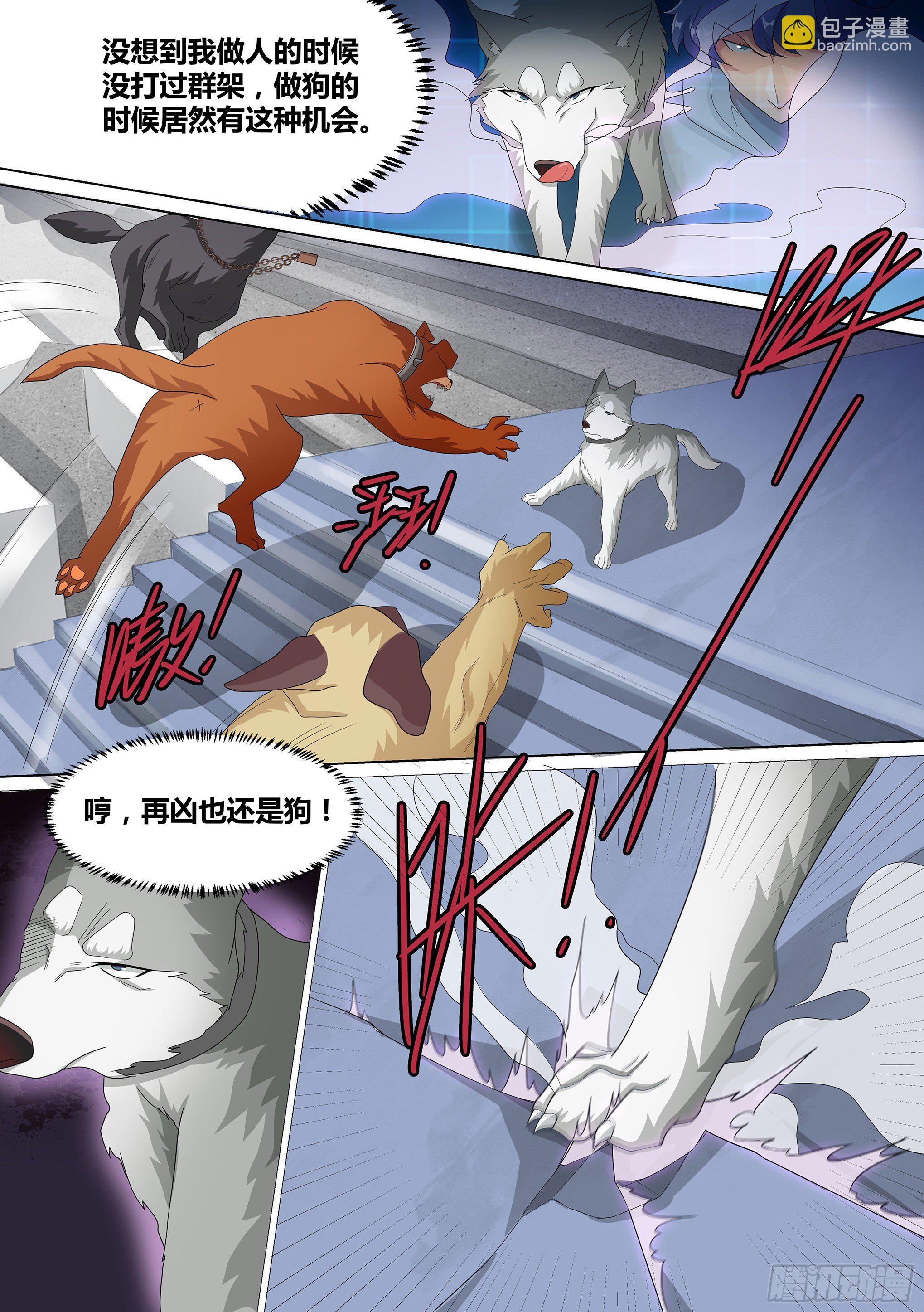 10-无敌狗皇2