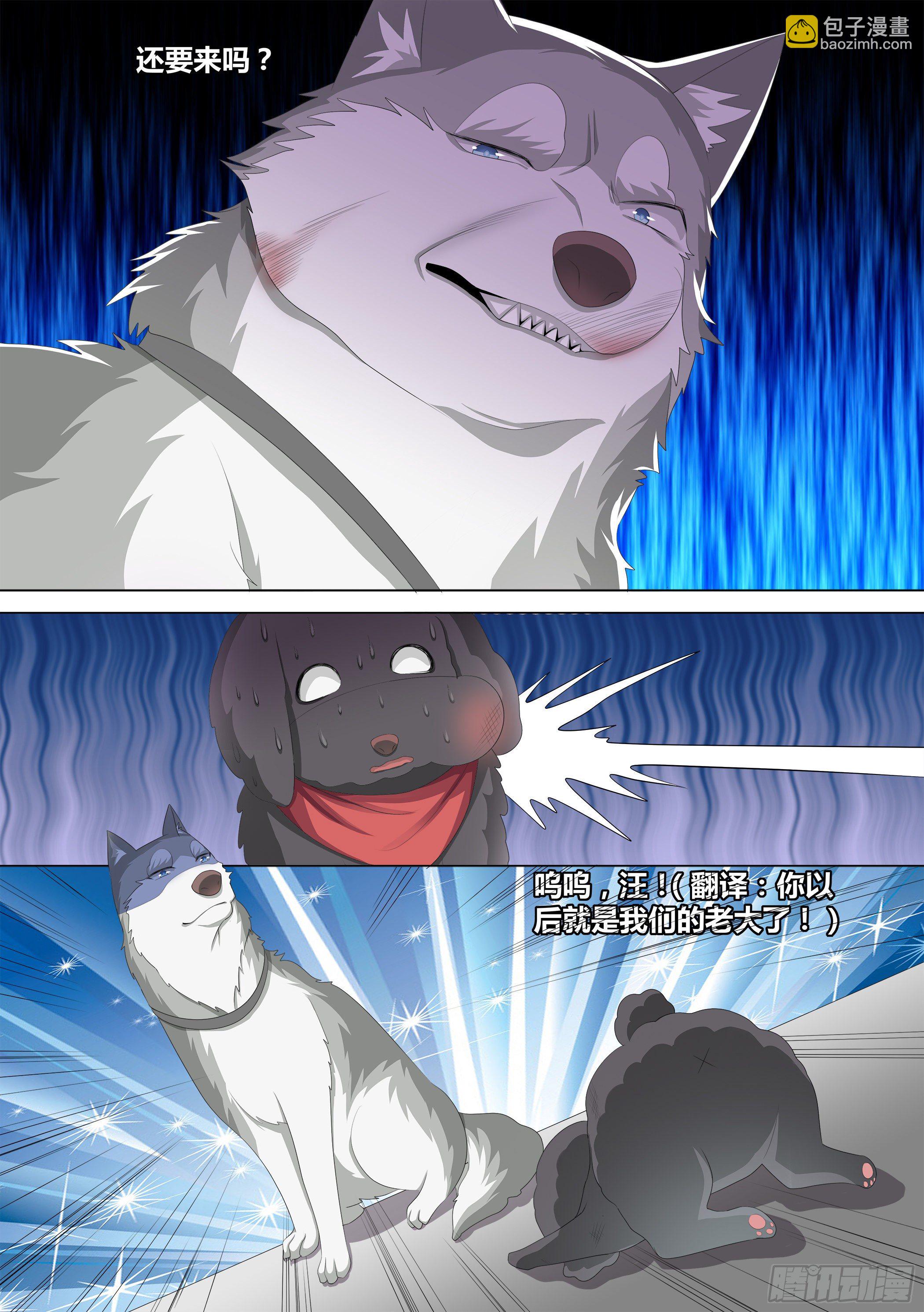 10-无敌狗皇6