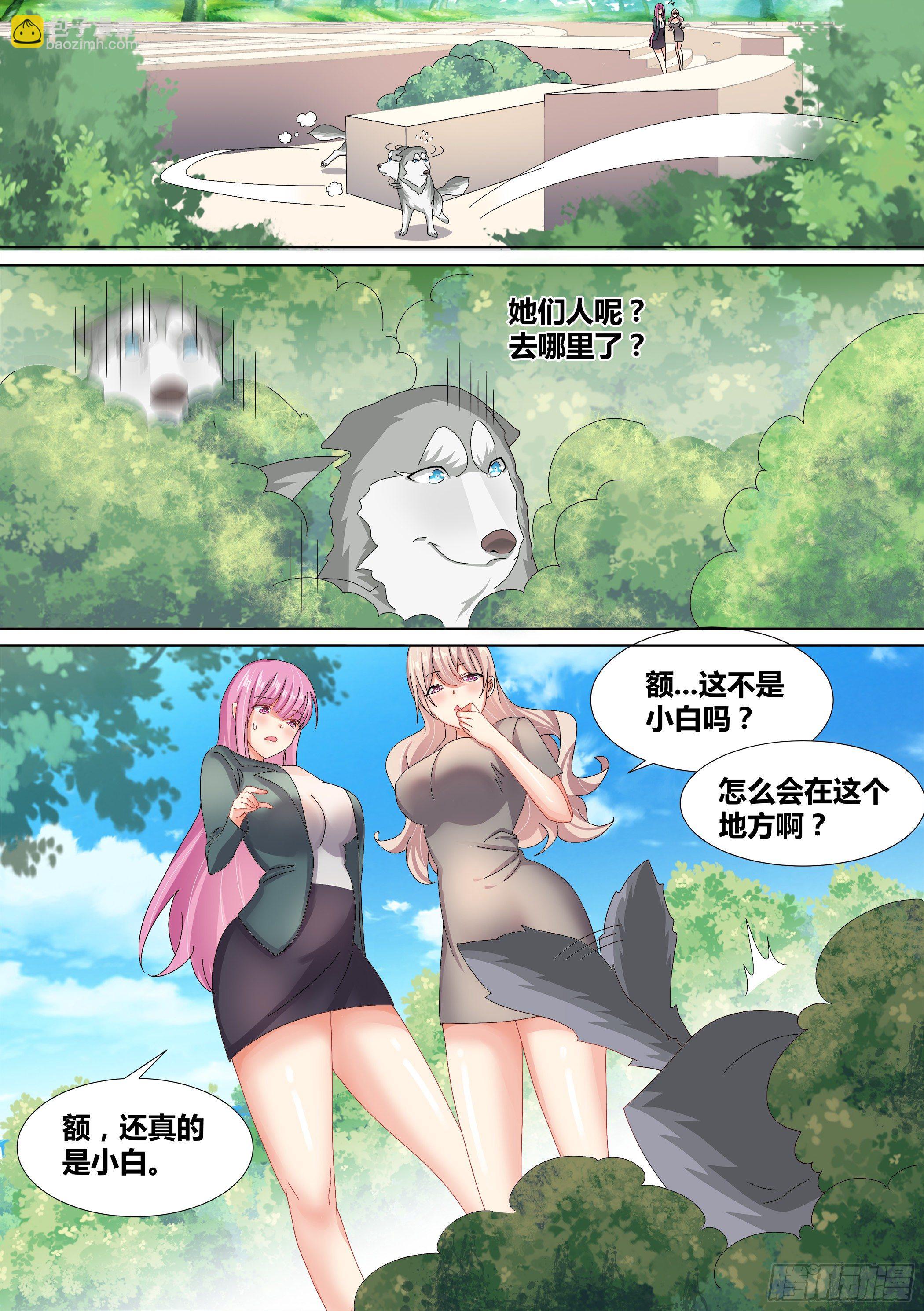 10-无敌狗皇8