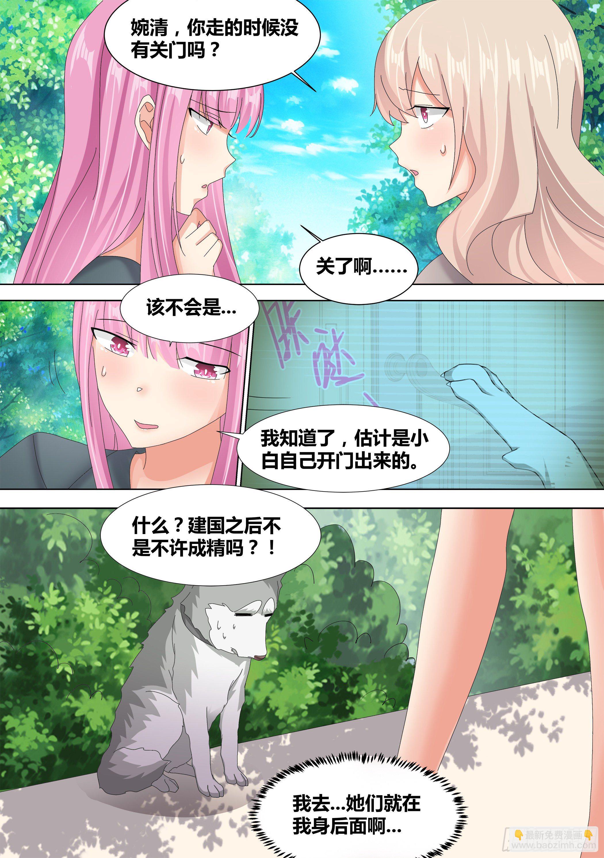 10-无敌狗皇9