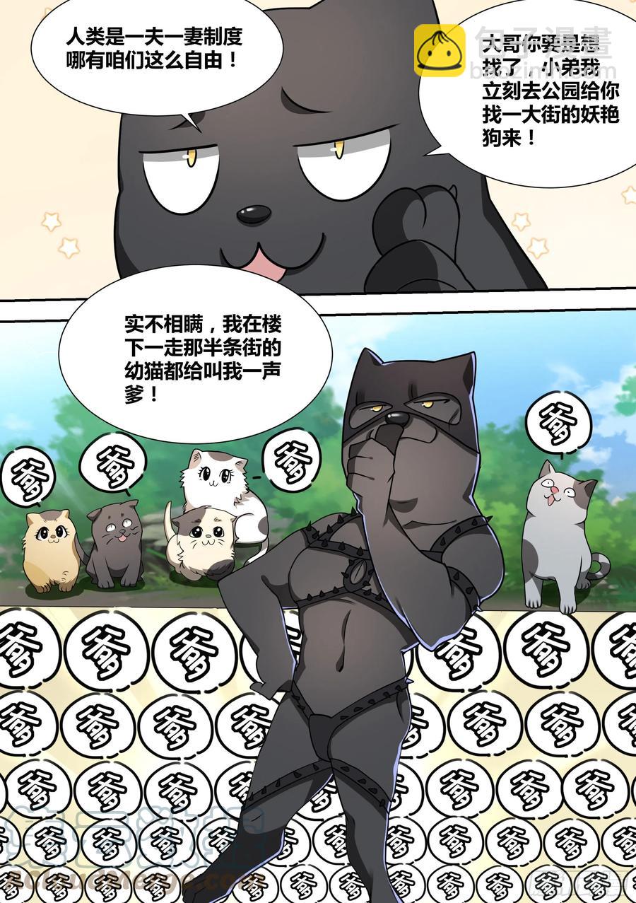 52-牛牛黑炭9
