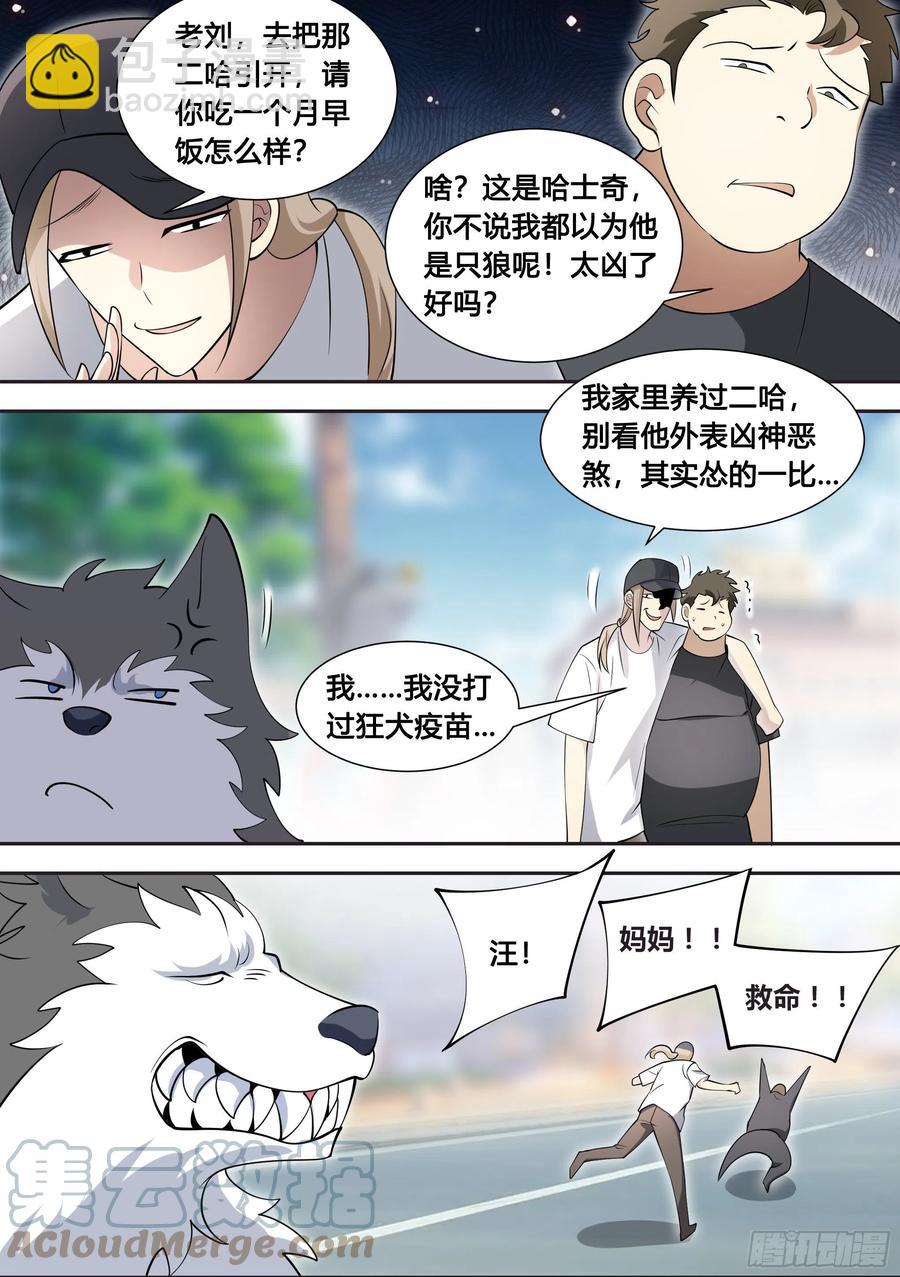 87-二哈也要上学？8